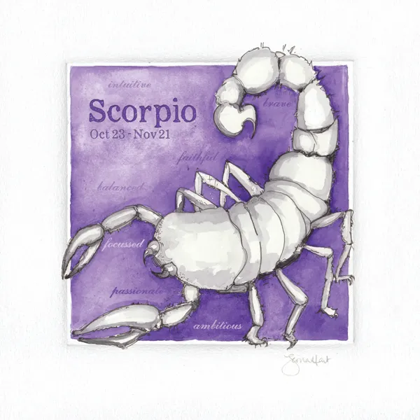 49883 scorpio interior exterior