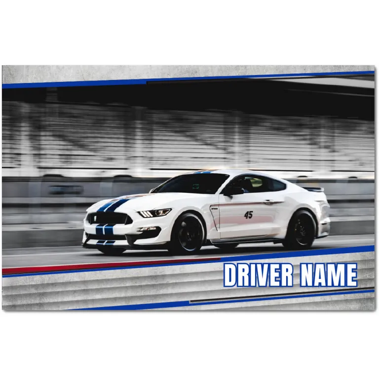 49981 hero card grading